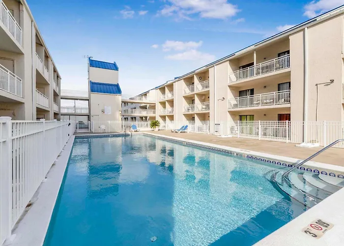 Apartment Sugar 238 By Collection