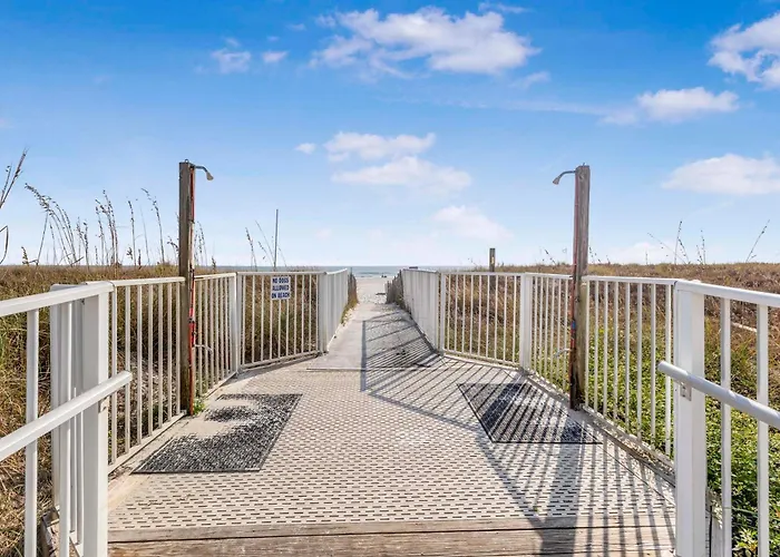 Apartment Sugar 238 By Collection